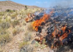 آتش سوزی در مراتع روستای مزده نطنز