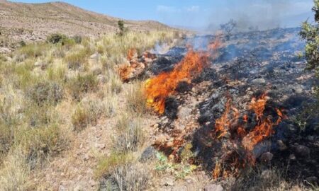 آتش سوزی در مراتع روستای مزده نطنز
