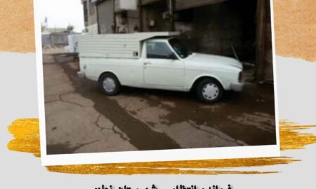 دستگیری سارقان خودرو در نطنز