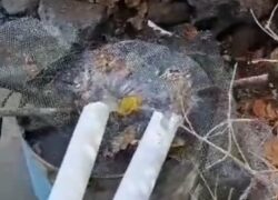 جمع آوری لوله انتقال آب کشاورزی روستای اوره به معادن