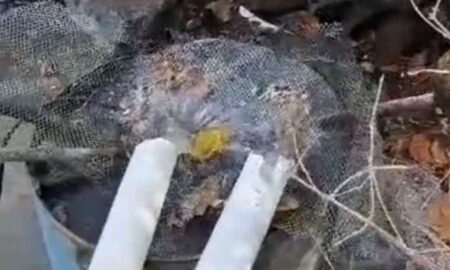 جمع آوری لوله انتقال آب کشاورزی روستای اوره به معادن