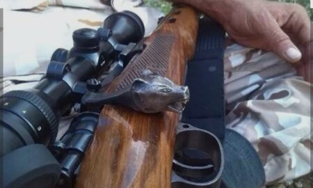 کشف سلاح و لاشه کل وحشی از متخلفان شکار در نطنز