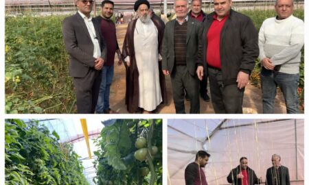 بازدید میدانی نماینده مجلس از گلخانه ده آباد و متین آباد