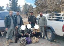 ۳ متخلف شکار در کرکس نطنز به دام قانون افتادند   