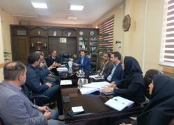 بررسی مسائل مربوط به بازار باغ شهر تاریخی نطنز