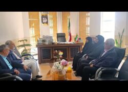 هم‌افزایی تجربه و نگاه نو در دومین نشست صمیمانه