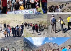 بمناسبت دهه کرامت و هفته کارگر همایش گل گشت