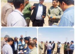 بازدید میدانی شکاری معاون امور عمرانی فرمانداری از زمین طرح نهضت ملی مسکن در متین‌آباد