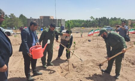 اجرای فاز دوم درختکاری _درختان مثمر_در محوطه شهرداری نطنز