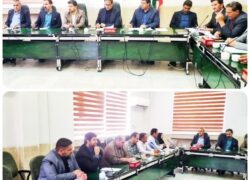 قاطعیت در نظارت بر بازار