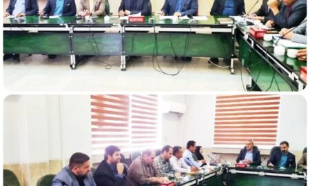 قاطعیت در نظارت بر بازار
