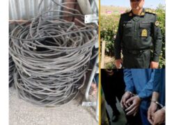 ناکامی و دستگیری سارقان سیم برق
