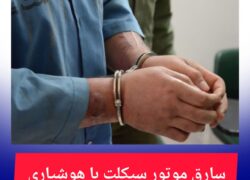 سارق موتورسیکلت با هوشیاری پلیس نطنز دستگیر شد 