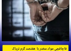 قاچاقچی مواد مخدر با هفتصد گرم تریاک در نطنز دستگیر شد
