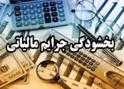 مهلت تازه سازمان مالیاتی برای بخشودگی کامل جرائم مؤدیان