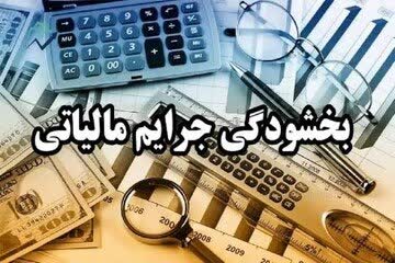 مهلت تازه سازمان مالیاتی برای بخشودگی کامل جرائم مؤدیان