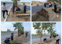 تحول در فضای سبز بلوار مطهری با رویکرد صرفه‌جویی در مصرف آب و احیای هویت سنتی شهر